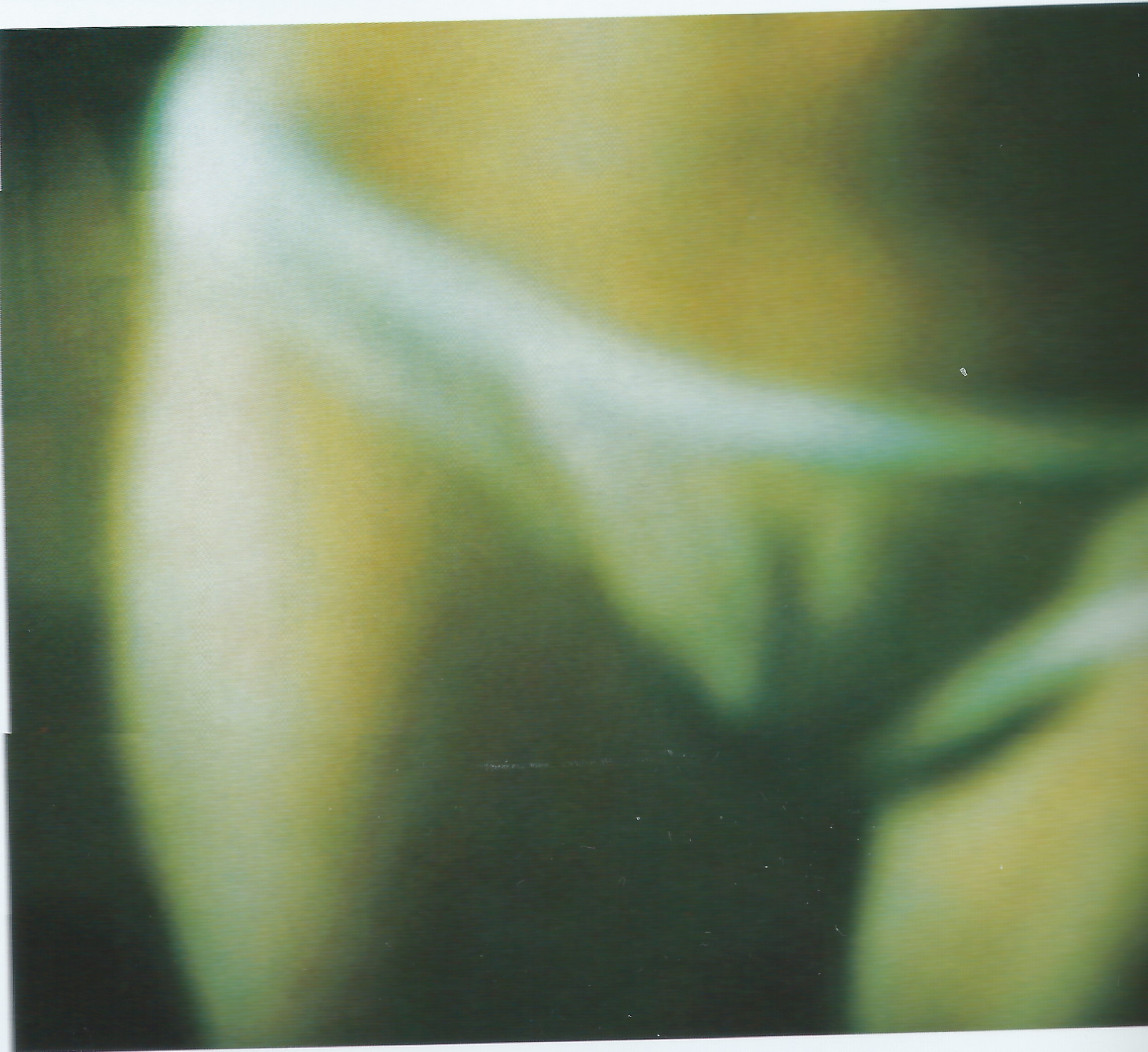 Kylie_Minogue_fully_nude_from_her_1999_book_Kylie_9x_UHQ_11.JPG