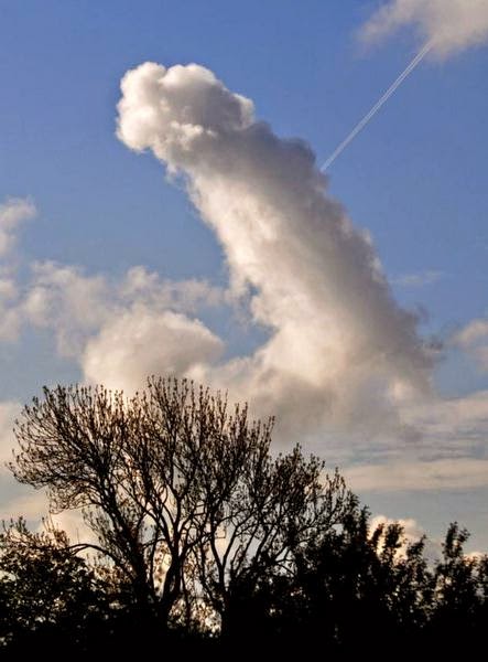 awan_menyerupai_penis.jpg