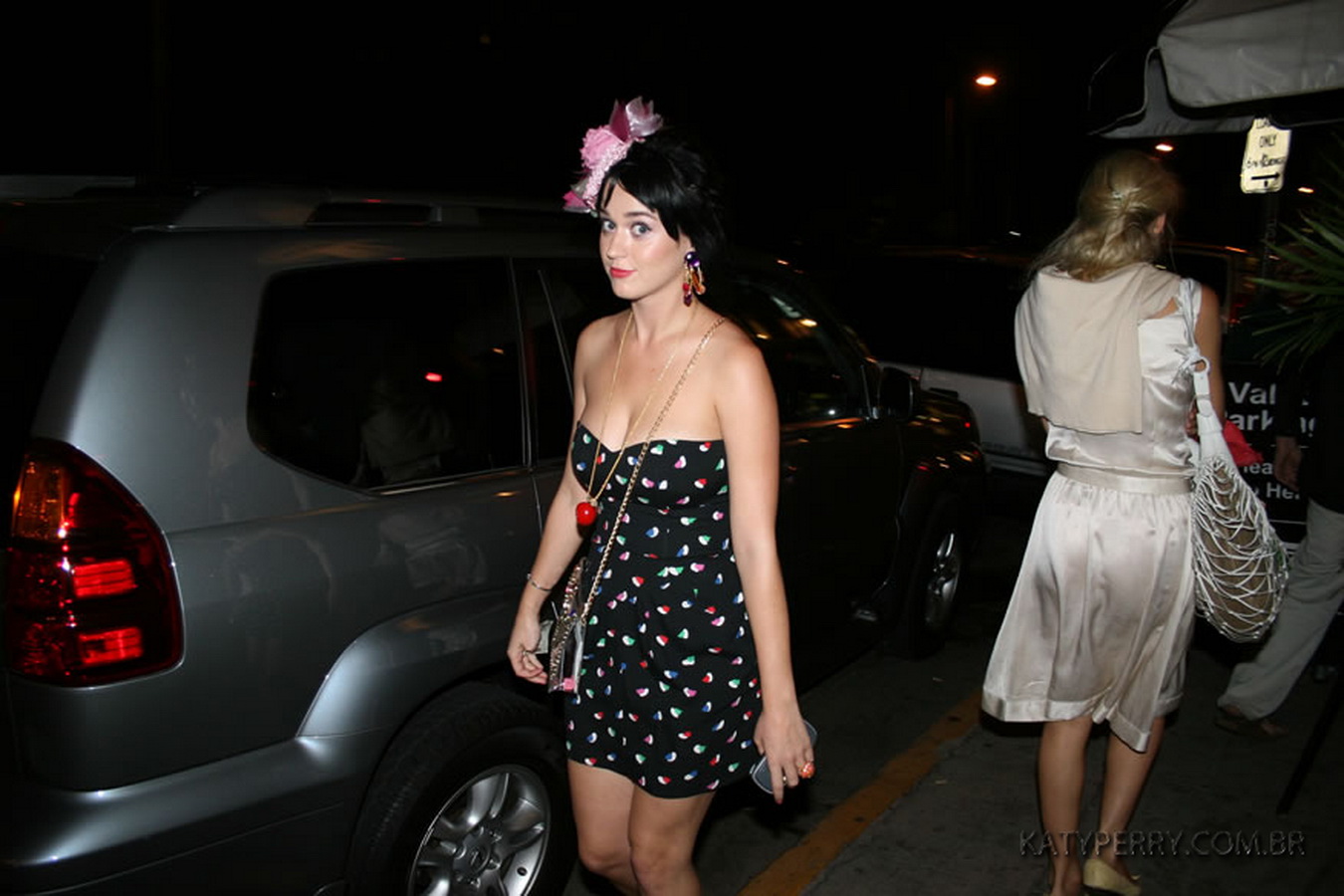Katy_Perry_bobsslip_drunk_cleavage_downblouse_upskirt_nipslip_at_her_birthday_2007_party_99x_HQ_24.jpg