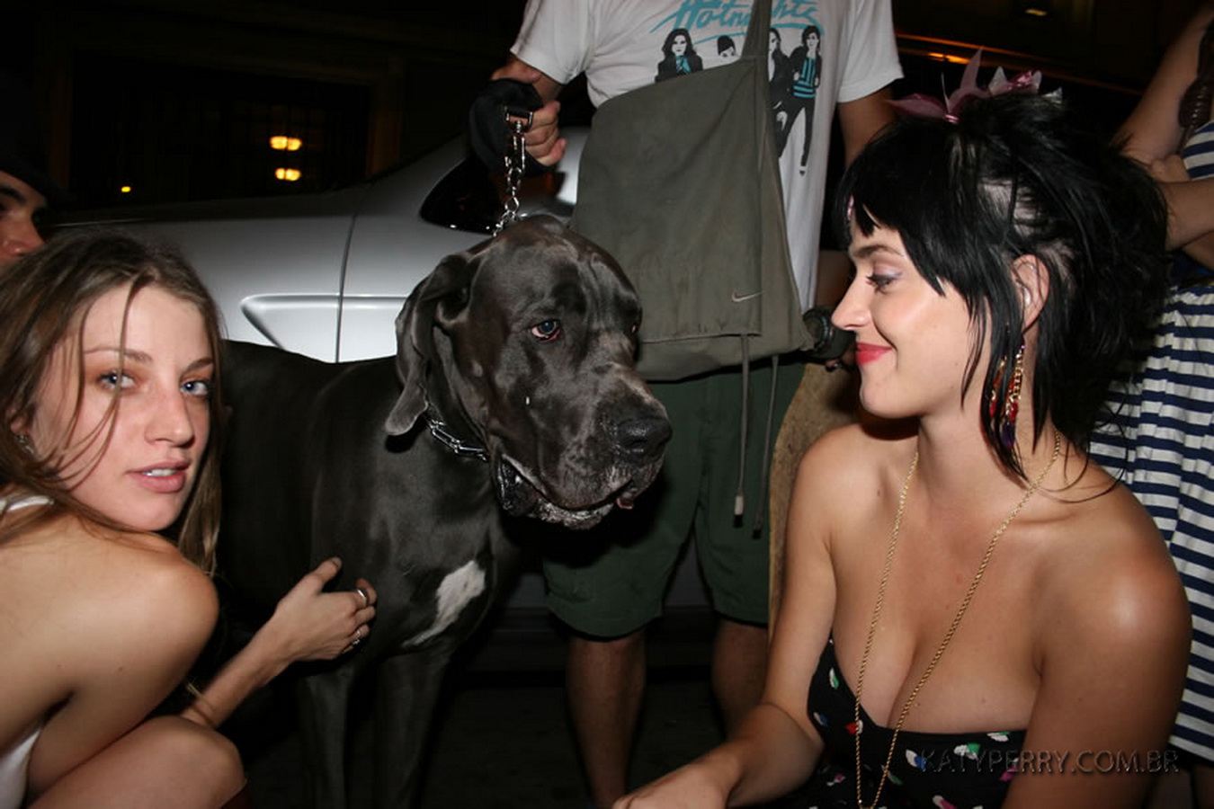 Katy_Perry_bobsslip_drunk_cleavage_downblouse_upskirt_nipslip_at_her_birthday_2007_party_99x_HQ_86.jpg