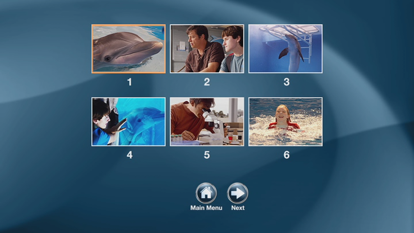 Dolphin.Tale.2.2014.DVDR.NTSC.03.png
