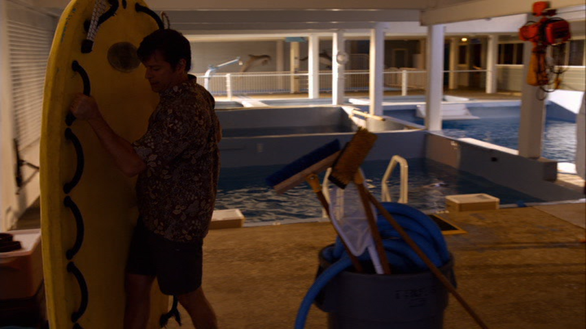 Dolphin.Tale.2.2014.DVDR.NTSC.05.png